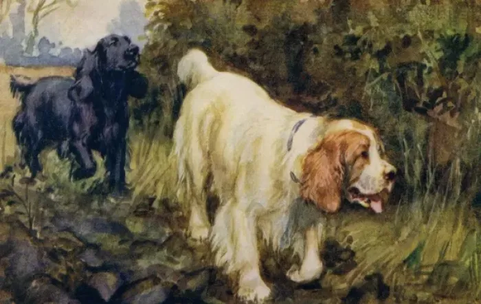 Framed Print : Cocker and Clumber Spaniels Print Framed Print : Cocker and Clumber Spaniels Print