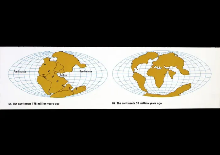 Framed Print : Continental Drift Diagrams Print: Framed Print : Continental Drift Diagrams Print: