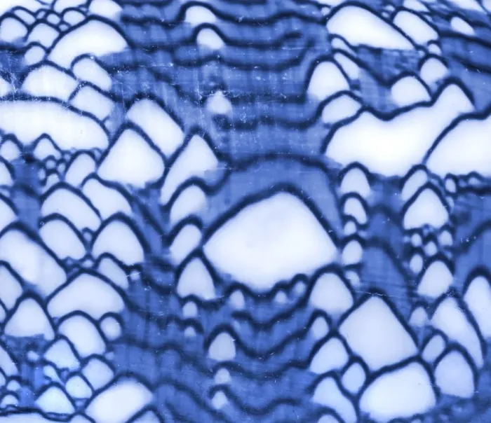 Framed Print : Conus textile Print, Blue Framed Print : Conus textile Print, Blue