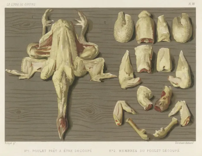 Framed Print : How to Cut up a Chicken Print