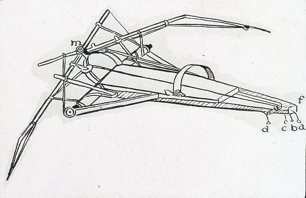 Da Vincis prone-type ornithopter