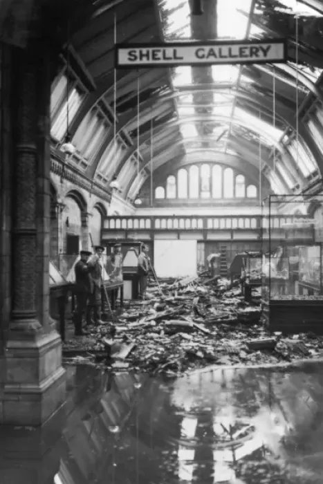 Framed Print : Damage in Shell Gallery Print, 1940