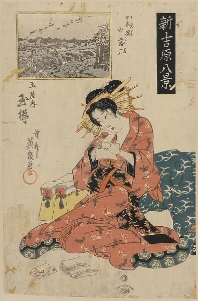 Descending geese on the Nihon embankment - the courtesan Tam
