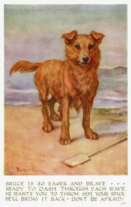 Framed Print : A print of a dog on a beach Framed Print : A print of a dog on a beach