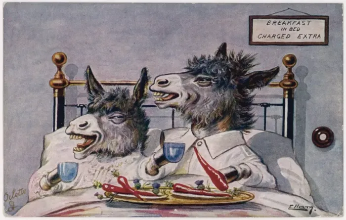 Framed Print : Donkeys Breakfast in Bed Print Framed Print : Donkeys Breakfast in Bed Print