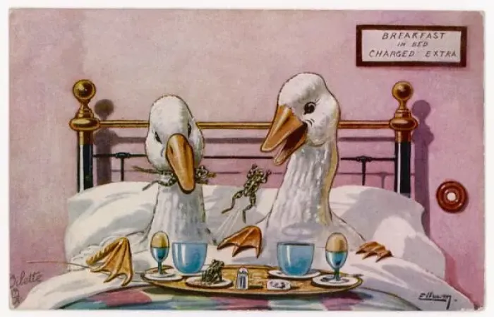 Framed Print : Geese in Bed Print: Two Geese Breakfasting Framed Print : Geese in Bed Print: Two Geese Breakfasting