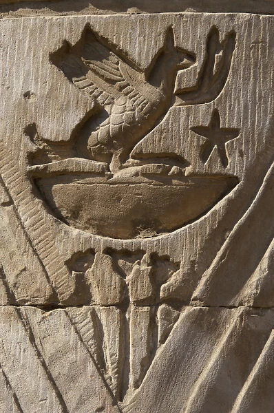 Egyptian Art. Temple of Kom Ombo. Bird. Relief