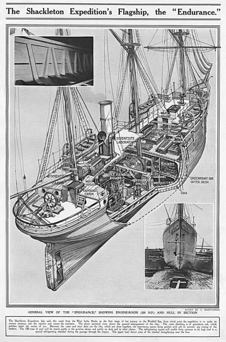 Framed Print : The Endurance: A Cutaway View Print Framed Print : The Endurance: A Cutaway View Print