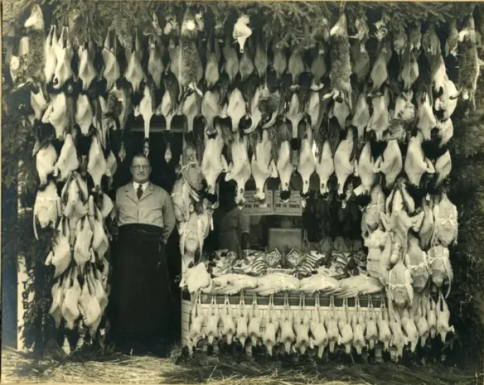 Framed Print : Christmas Game and Fish Print, Malmesbury, circa 1925 Framed Print : Christmas Game and Fish Print, Malmesbury, circa 1925