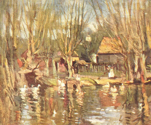 The Farm Pond