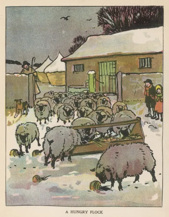 Framed Print : Flock of Sheep in Snow Print Framed Print : Flock of Sheep in Snow Print
