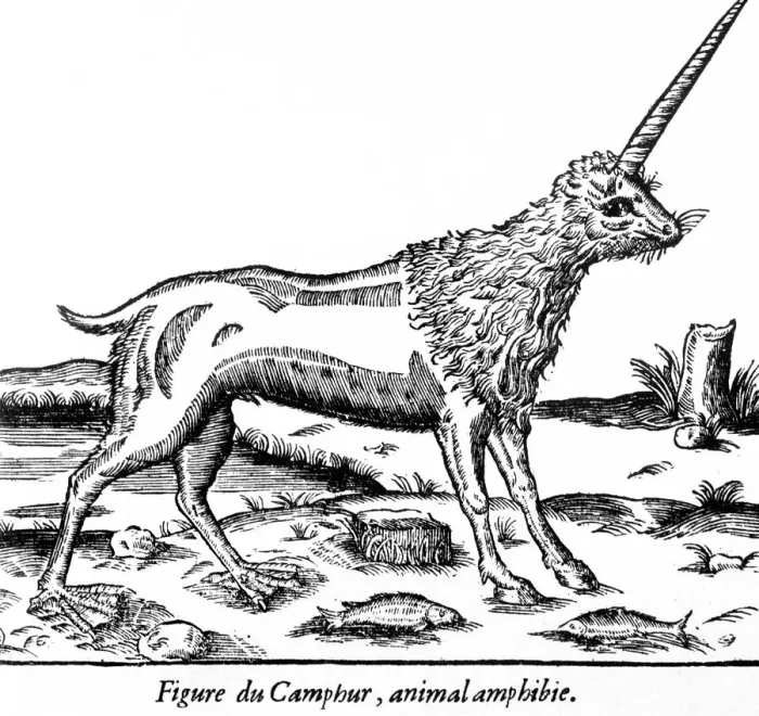 Framed Print : Print of a Camphur, an amphibious Ethiopian unicorn from Folklore Framed Print : Print of a Camphur, an amphibious Ethiopian unicorn from Folklore