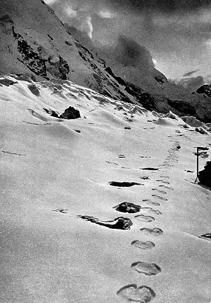 Footprints of a mysterious creature in the Himalayan mountai