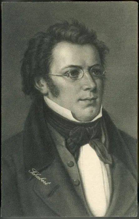 Framed Print : Franz Schubert Print - Austrian Composer Portrait Framed Print : Franz Schubert Print - Austrian Composer Portrait