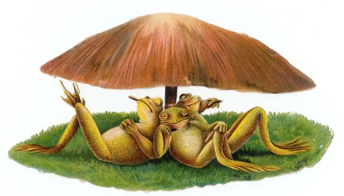 Framed Print : Victorian Era Print: Three Frogs Under a Toadstool Framed Print : Victorian Era Print: Three Frogs Under a Toadstool