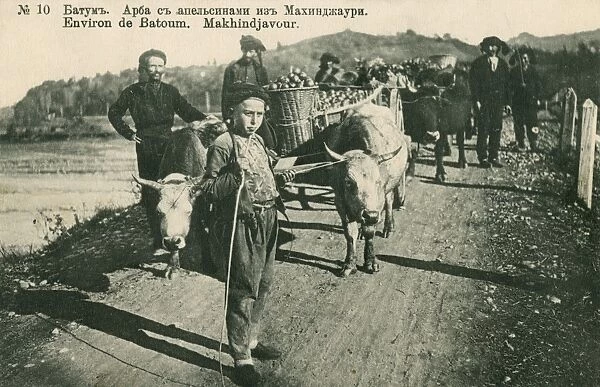 Georgia - Batumi - Farmers