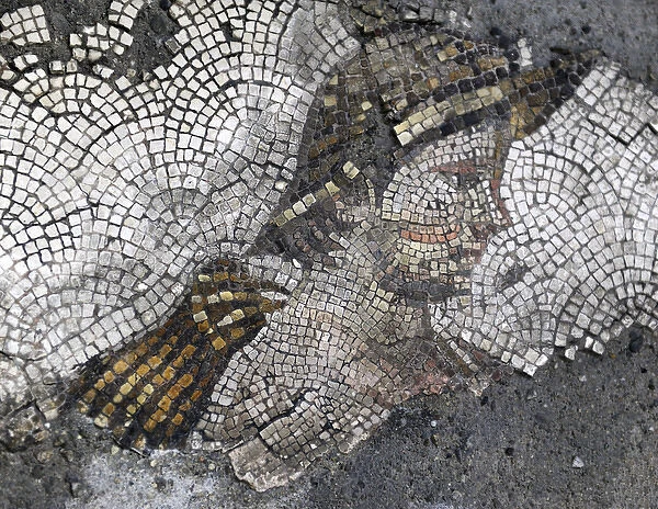 Great Palace Mosaic Museum. Byzantine style. Head of a young