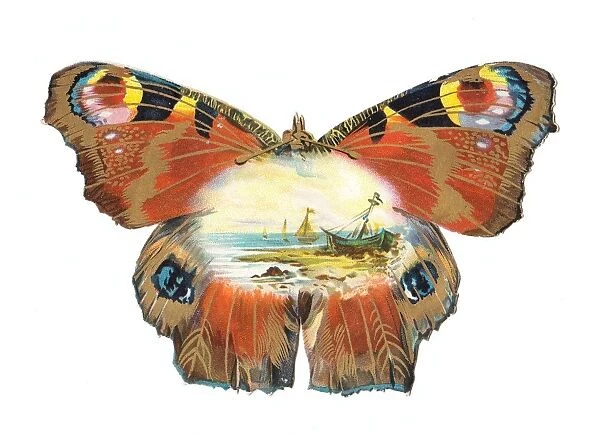 Greetings card in the shape of a butterfly