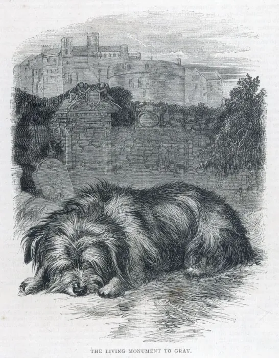 Framed Print : Greyfriars Bobby Print - A Loyal Dog at His Master's Grave Framed Print : Greyfriars Bobby Print - A Loyal Dog at His Master's Grave