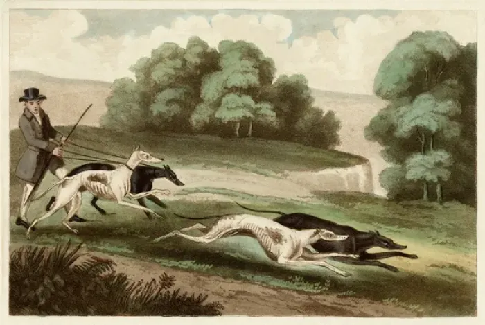Framed Print : Hare Coursing Print, 1807 Framed Print : Hare Coursing Print, 1807