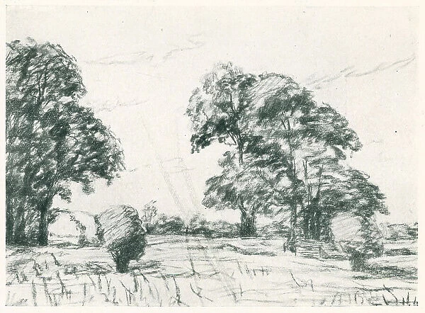 Harvest. A landscape drawing of a field and trees under a plain sky during harvest