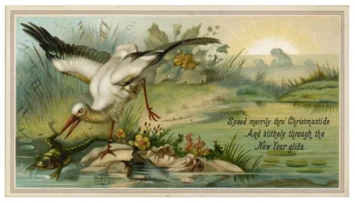 Framed Print : Heron and Frog Print Framed Print : Heron and Frog Print
