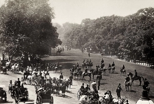 Horses and riders on Rotten Row, London