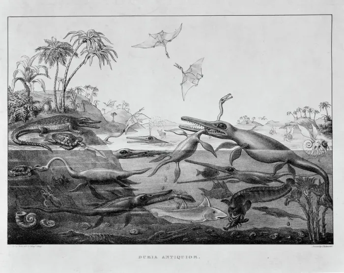 Framed Print : Early Jurassic Marine Reptiles Print Framed Print : Early Jurassic Marine Reptiles Print