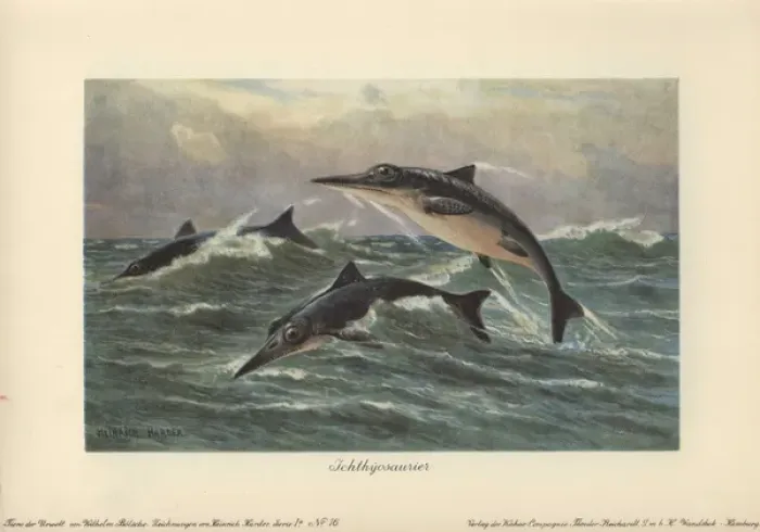 Framed Print : Ichthyosaurus Print, Colour Lithograph Framed Print : Ichthyosaurus Print, Colour Lithograph