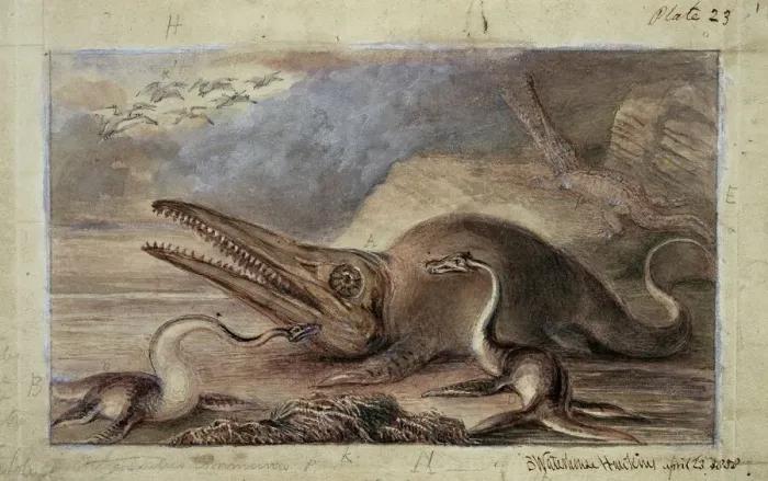 Framed Print : Early Jurassic Marine Reptiles Print Framed Print : Early Jurassic Marine Reptiles Print