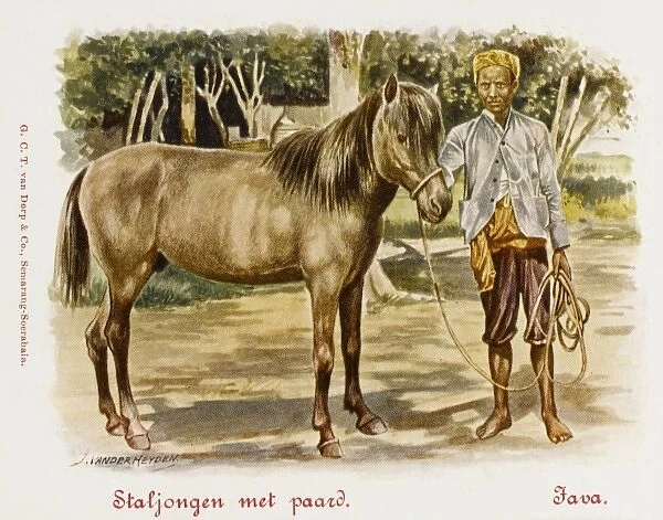 Java - Indonesia - Stableboy with horse
