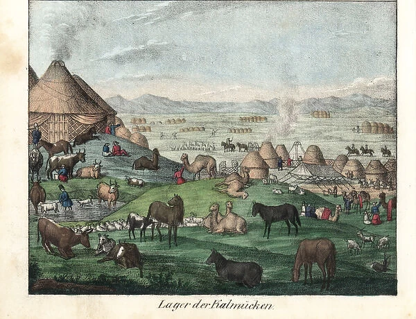 Kalmyk village showing ghers and camels, horses