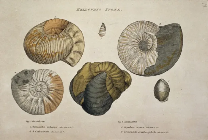 Framed Print : Kelloways Stone Print by Unknown Artist Framed Print : Kelloways Stone Print by Unknown Artist