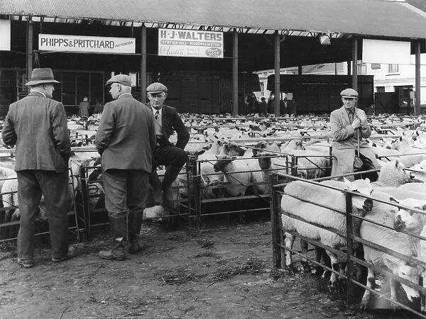 Kidderminster Sheep Fair