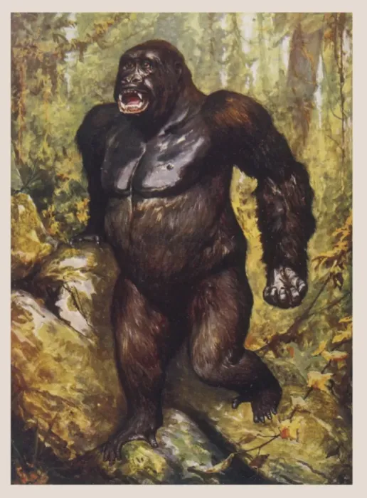 Framed Print : Largest Gorilla Ever Print