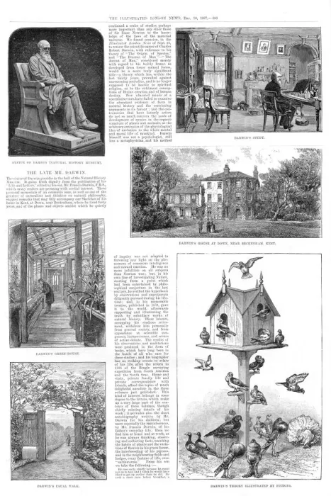 Framed Print : Charles Darwin Print, 1887 Framed Print : Charles Darwin Print, 1887
