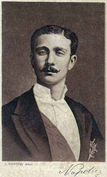 Louis Napoleon, Prince Imperial of France