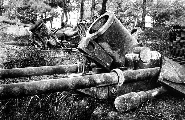 Two Louis-Phillippe mortar employed in the French trenches