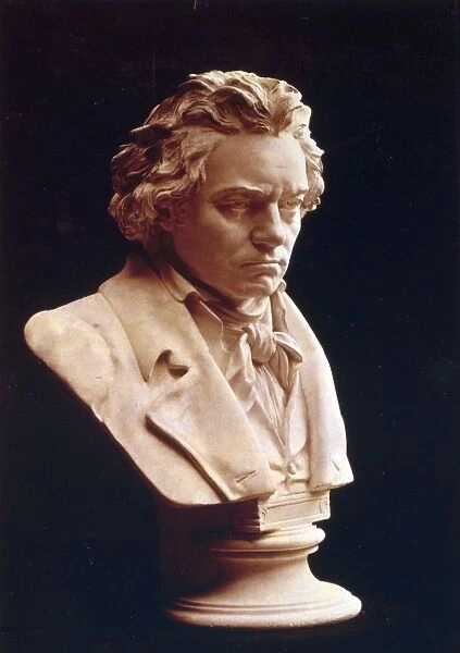 Ludwig van Beethoven - studied from the death mask i. e. life