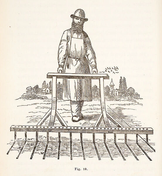 Man sowing seeds in lines, using mechanical device