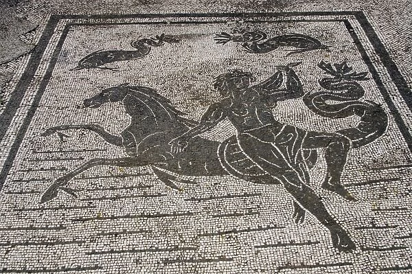 Mosaic of the Square of the Guilds or Corporations. Ostia An