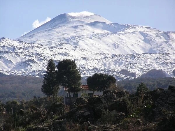 Mount Etna, with trees and a house, Sicily, Italy