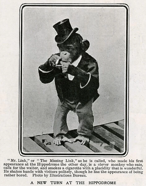 Mr Link, monkey appearing at the Hippodrome 1906