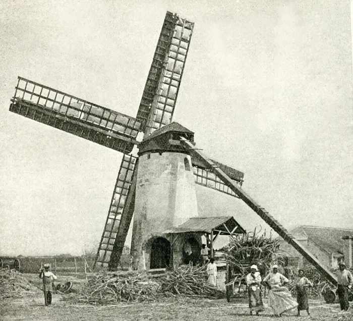 Framed Print : Windmill Print, Barbados Sugar Cane Processing, 1922 Framed Print : Windmill Print, Barbados Sugar Cane Processing, 1922