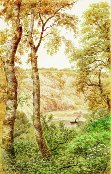 Nightingale Valley Weather