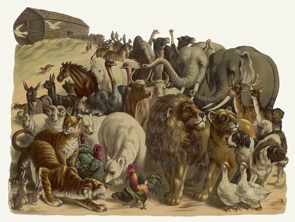 NOAHs ARK. The animals emerge two by two from Noahs Ark
