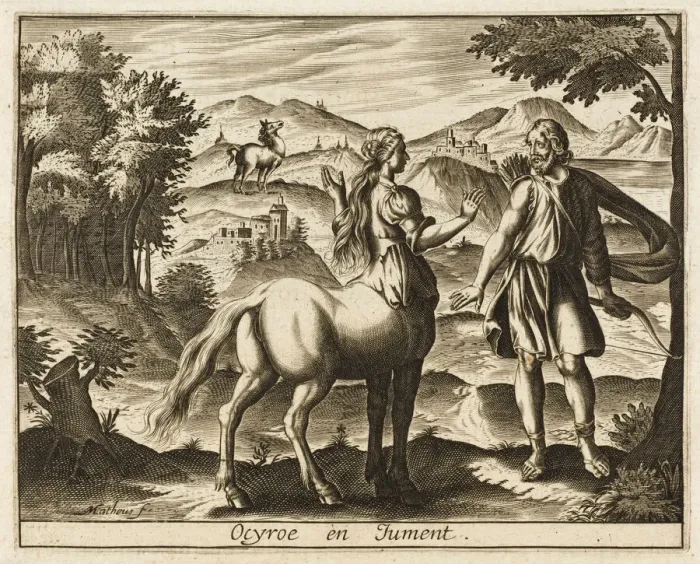 Framed Print : Ocyrrhoe - Mare Print Framed Print : Ocyrrhoe - Mare Print