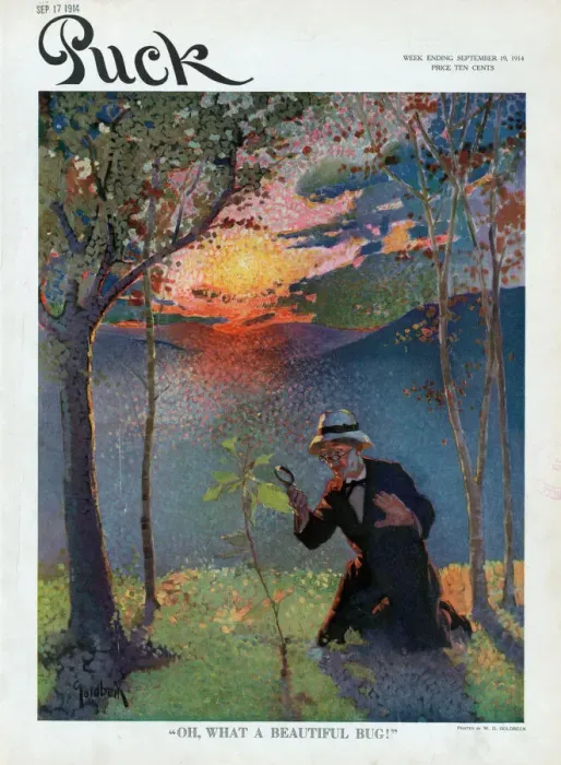 Framed Print : 1914 Print of an Entomologist Studying a Bug Framed Print : 1914 Print of an Entomologist Studying a Bug
