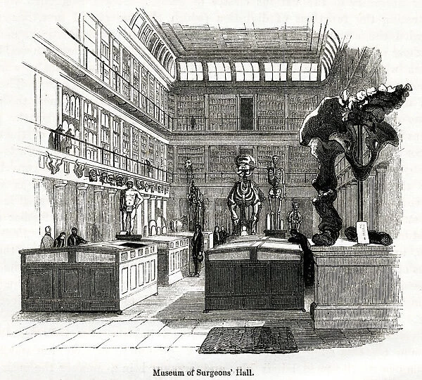 Osteological room in College of Surgeons 1880s