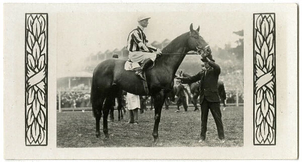 Pantheon, Australian race horse